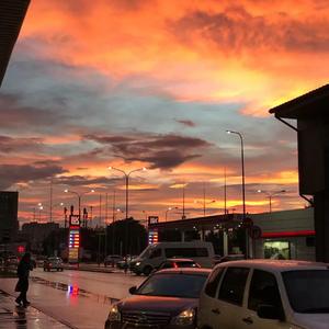 79表演秀完整在线观看
