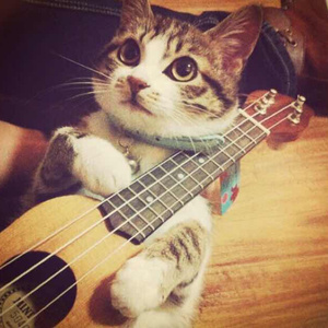 79表演秀完整在线观看
